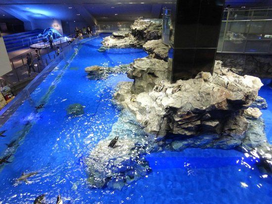 すみだ水族館